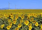 yeşil enerji-300x215.webp yeşil enerji-300x215.webp
