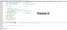 packet.h.png