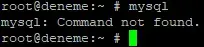 Screenshot_4.webp
