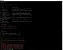 Screenshot_2.webp