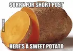 short_potato.webp