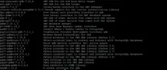 vv3.webp