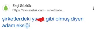 1786530637601.webp