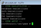 metin2_server_baslatma.webp