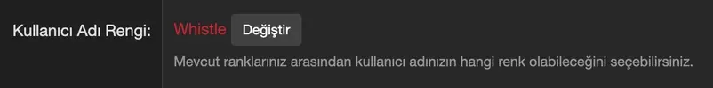 Kullanıcı adı rengini değiştirme formu.jpeg