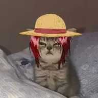 Tunga