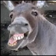 adozkawd