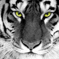 Ahmet5218