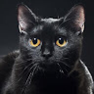girginkubra