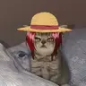 Tunga