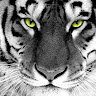 Ahmet5218