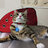 Leonid
