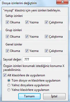 123.webp