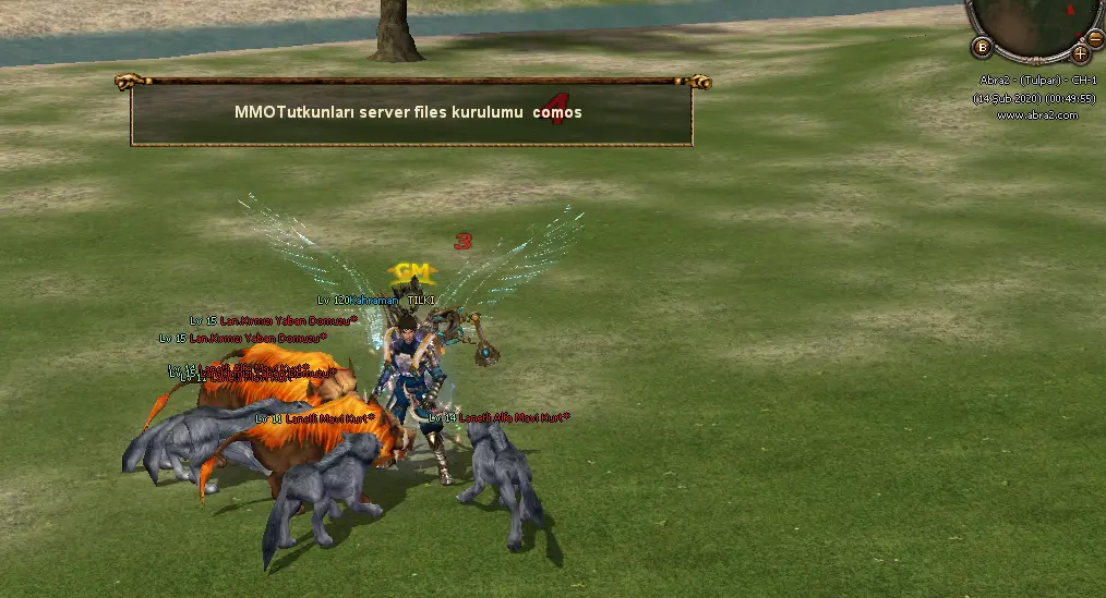 17.png