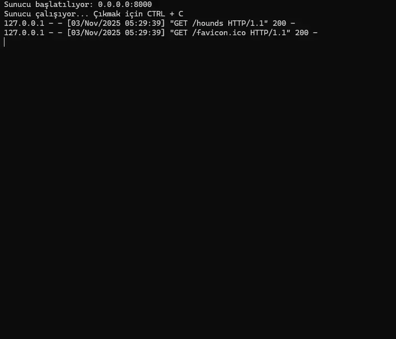1762137255761.webp