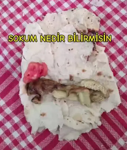1787164061511.webp