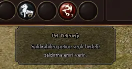 1788377585822.webp