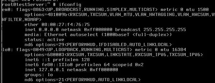 2.webp