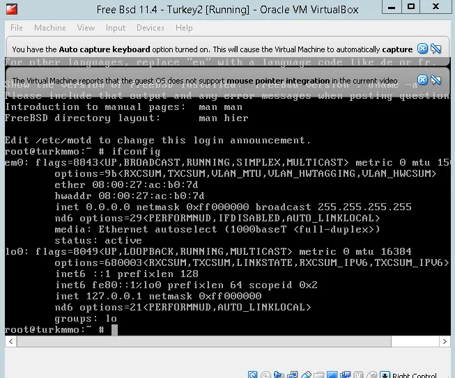 2.webp