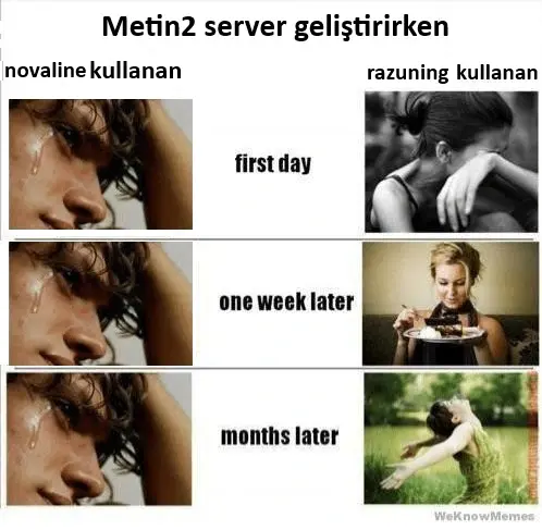 2tm2zwxd1b3a1.webp