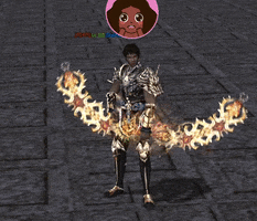 5-.gif