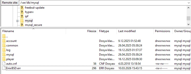 Adsız.webp