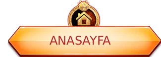 anasayfa.webp