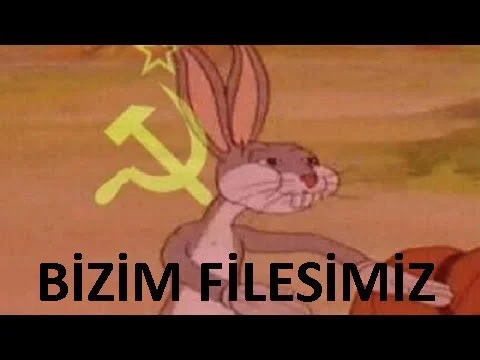 bizim filesimiz.webp