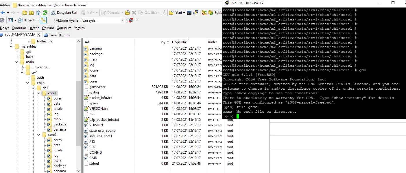 gdb no such file.webp