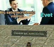 is tecrübesi metin2.webp