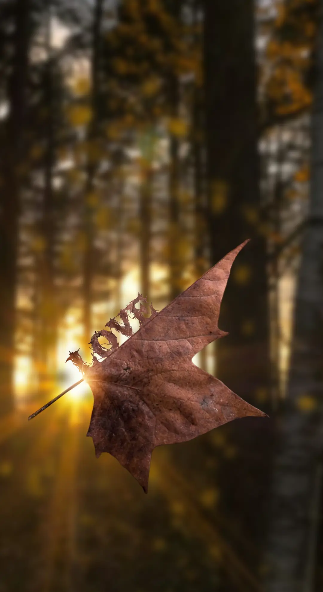 love.webp