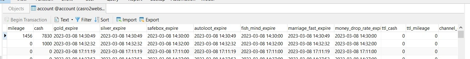 metin2 account premium effect.webp