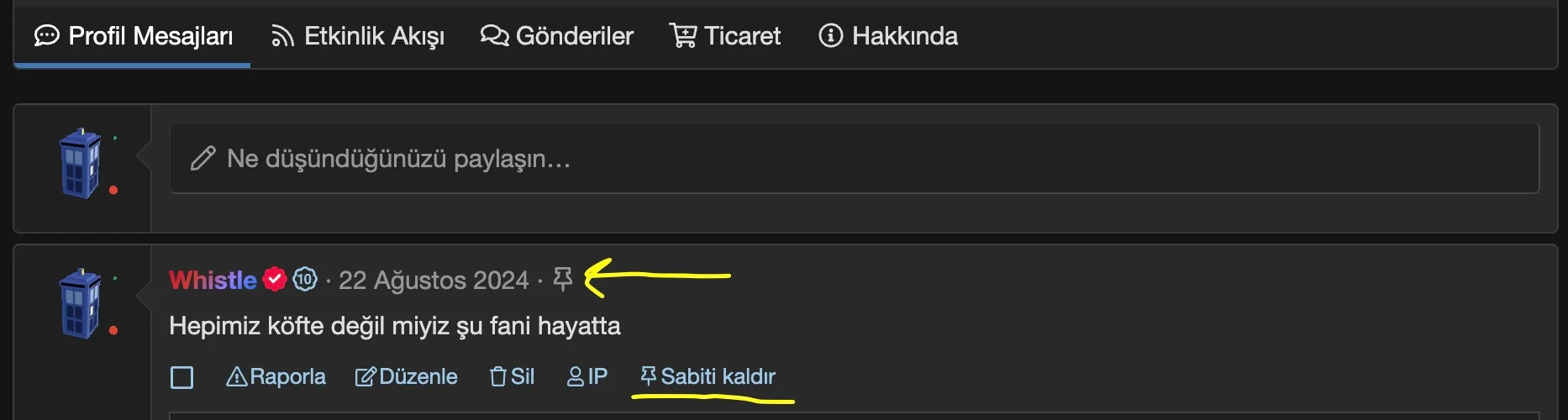 mmo tutkunları sabitlenmiş profil mesajı.webp