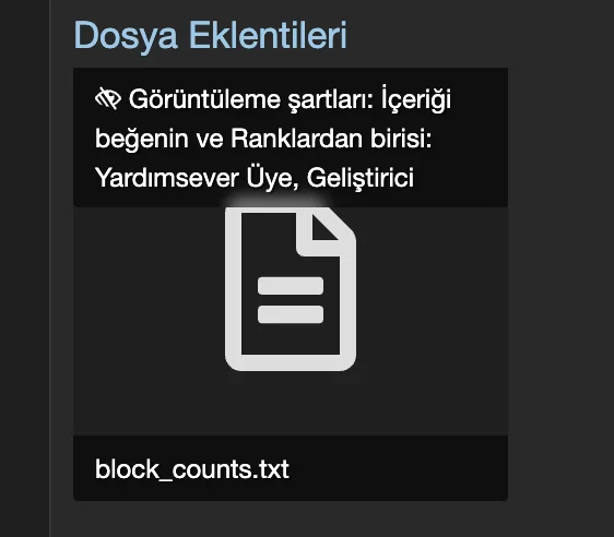 Özel İçerik kriterine sahip bir dosya ekinde yer alan bilgi metni.webp