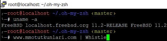 oh my zsh bira template.png