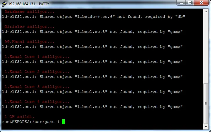 saas.webp