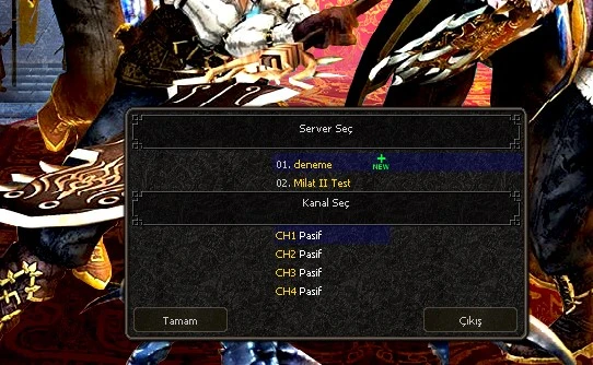 ss3.webp
