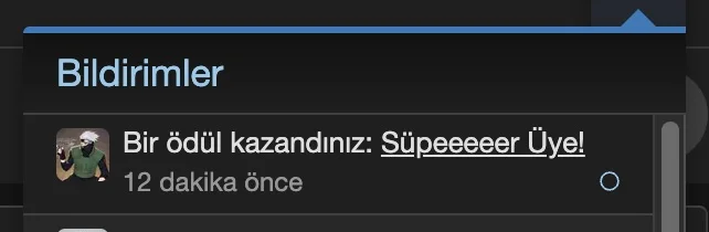 Süper Üye rankı için ödül puanı.webp