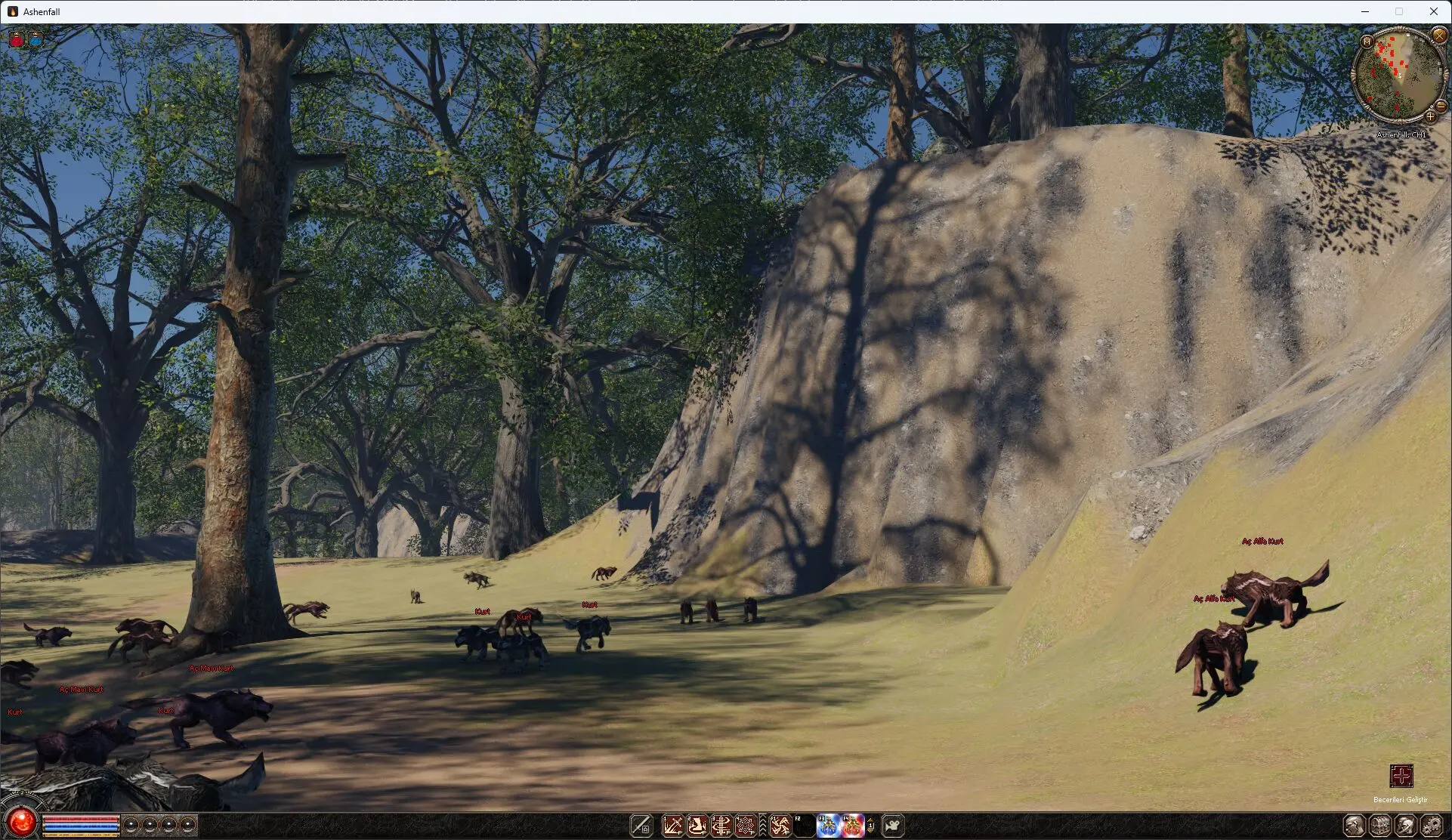 terrain6.webp