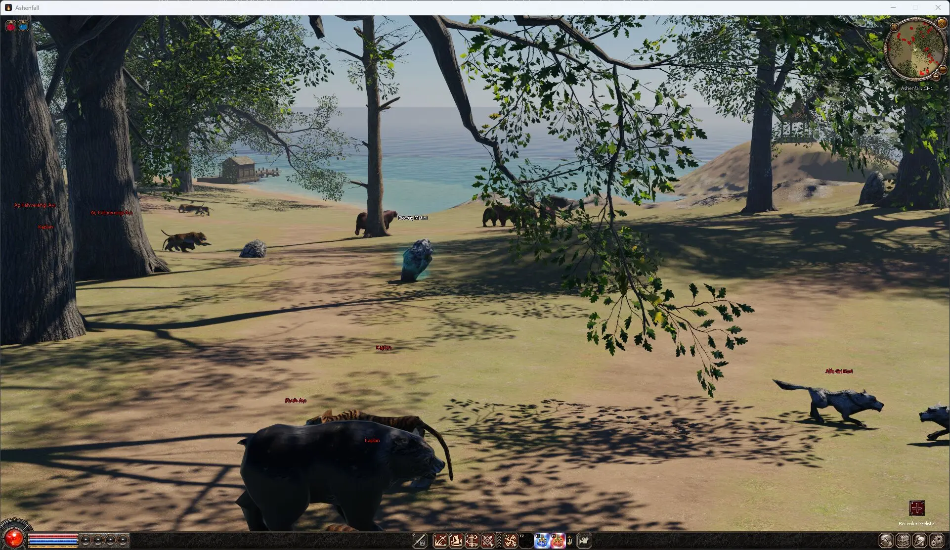 terrain7.webp