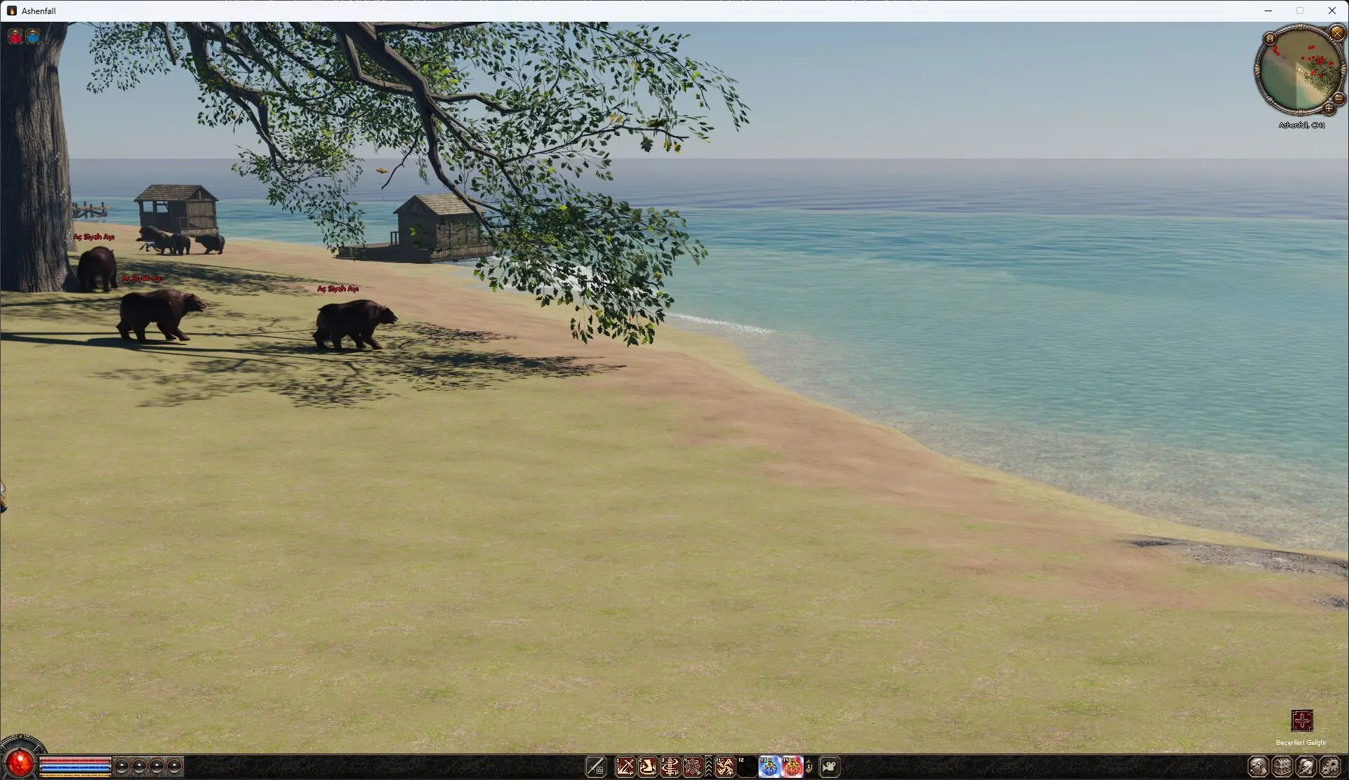 terrain8.webp