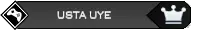 ustauye.png