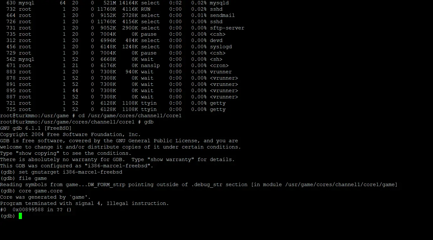 vv.webp