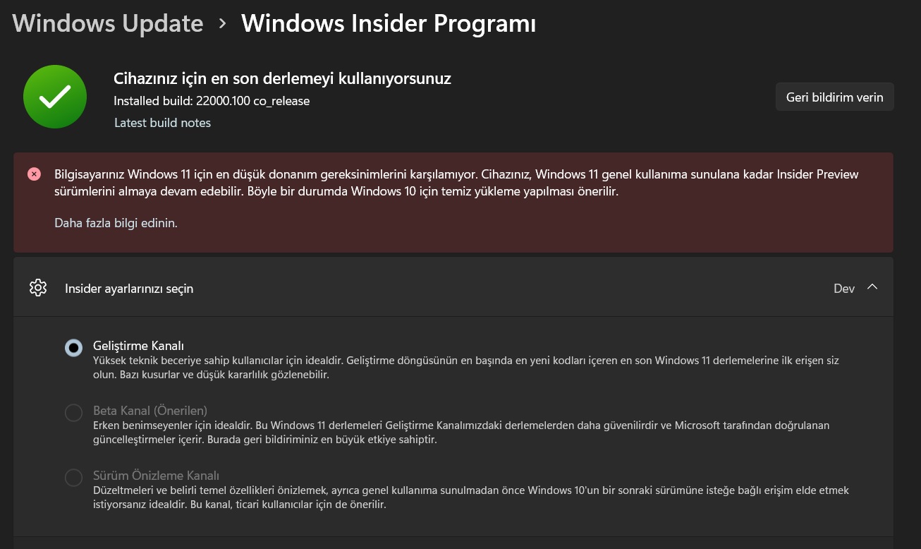 windows 11 22000 100.jpg
