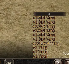 yang chat.webp