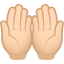 Palms up together: light skin tone :palms_up_together_tone1: 🤲🏻