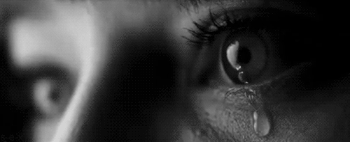 tumblr_ltokfcJ0411qlg6qxo1_500.gif