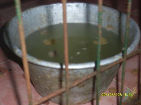 barinak4.jpg
