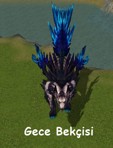 8.png