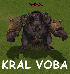 11.png